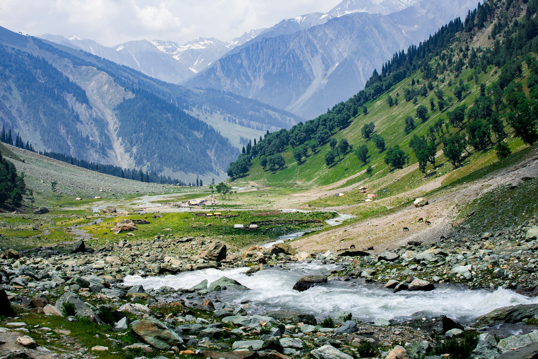 The river and mountain meadows in Sonamarg